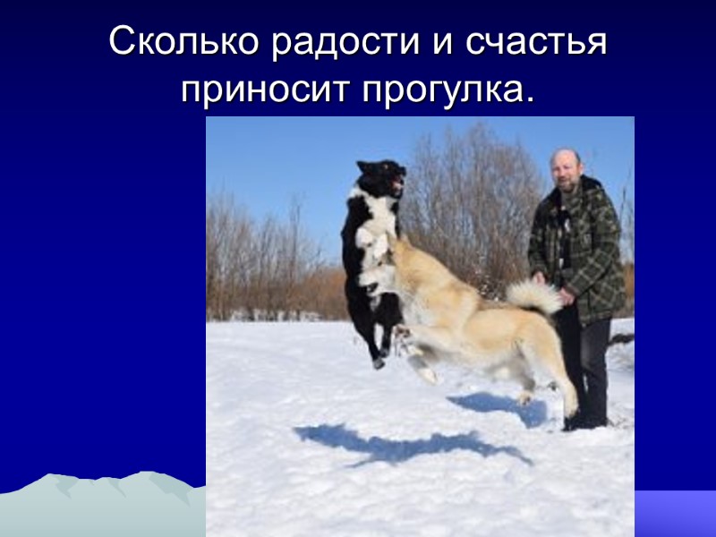 Сколько радости и счастья приносит прогулка.